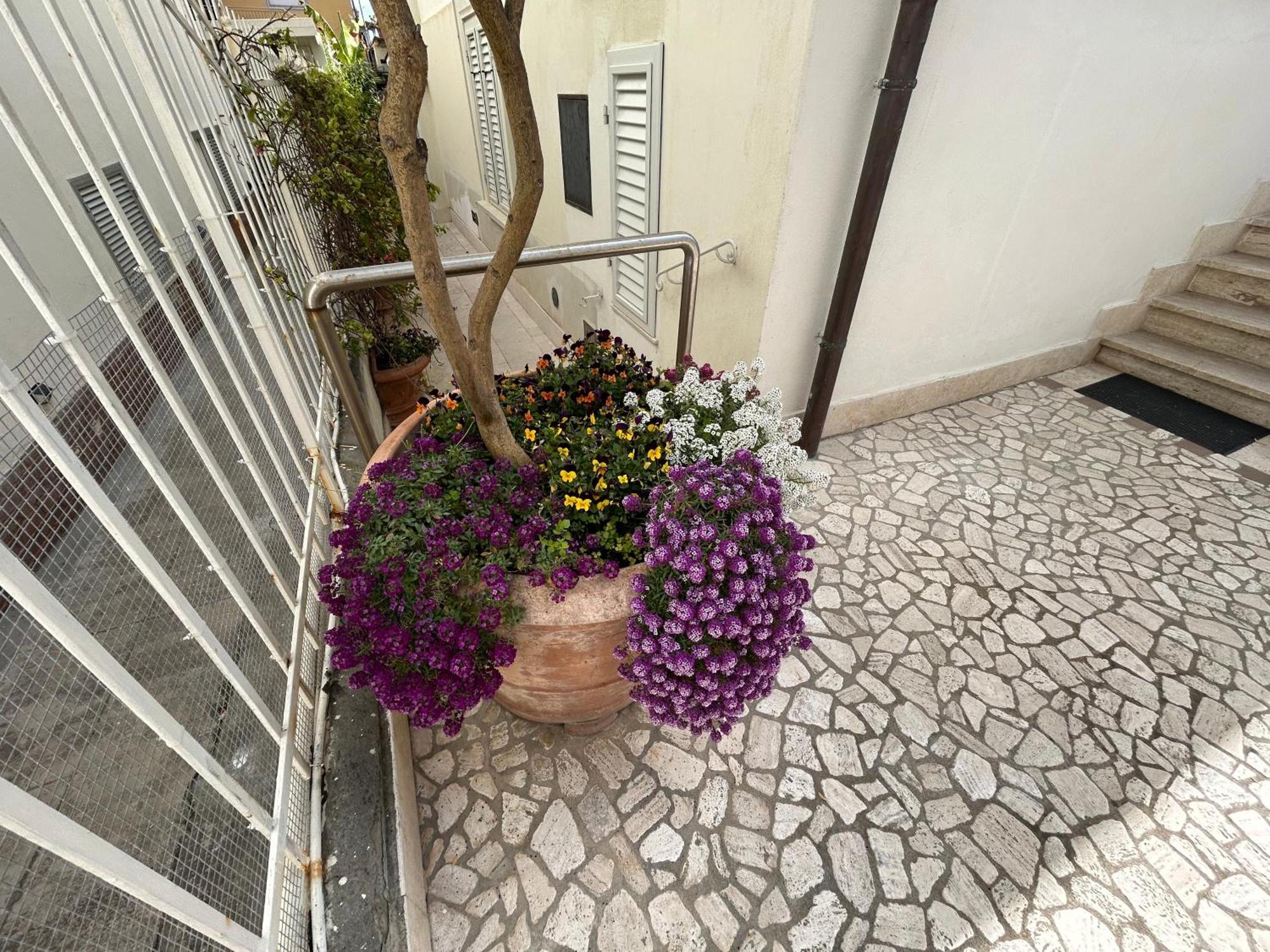 La Casa Di Rosi Al Mare Daire Vada Dış mekan fotoğraf